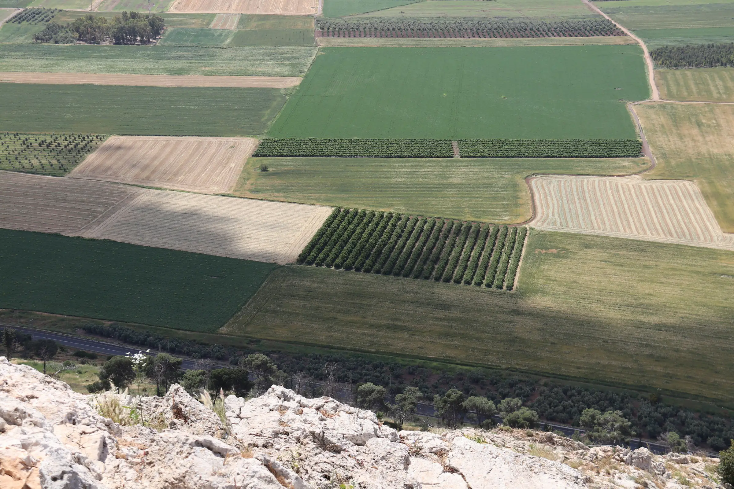 Patchwork fields across a wide plain